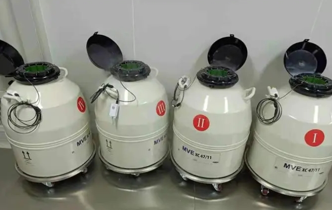 液氮罐 液氮罐