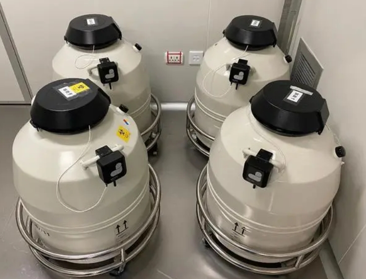 mve液氮罐 mve液氮罐